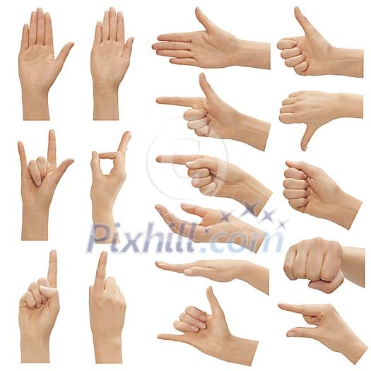 Clipped female hands making different signs