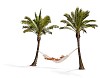 Woman in the hammock on a white background