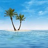 Two palmtrees on a small island in the middle of the sea