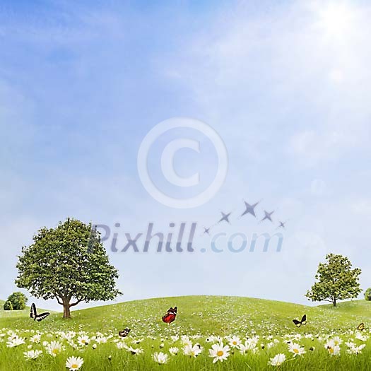 Butterflies over the daisies on a green meadow