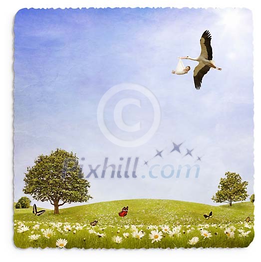 Stork flying with baby over the green field