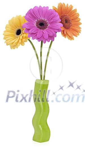 Yellow, violet and orange Gerbera in a green vase