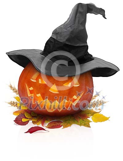 Halloween pumpkin with a hat