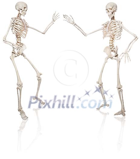 Skeletons dancing Skeletons dancing