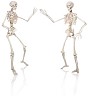 Skeletons dancing