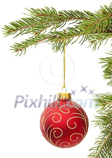Red christmas ball hanging from christmas tree branch Red christmas ball hanging from christmas tree branch