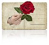 Isolated old postcard with hand holding a rose on it