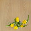 Yellow tulips in vase seen from above