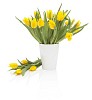 Yellow tulips in a white vase