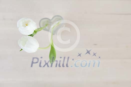 Two white tulips in heart shaped vase