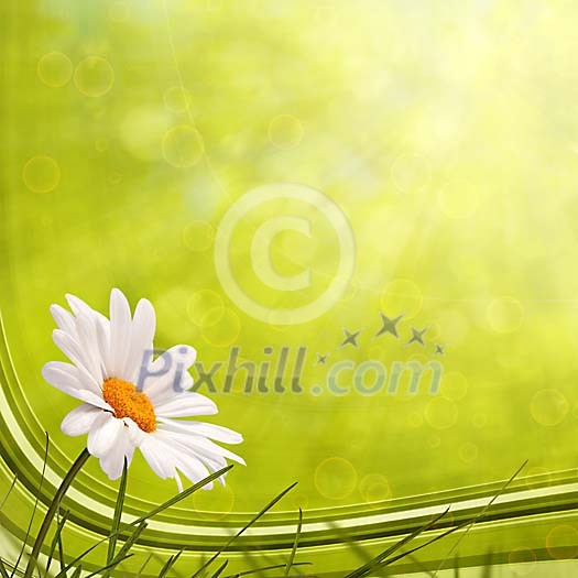 Daisy on green computer generated background