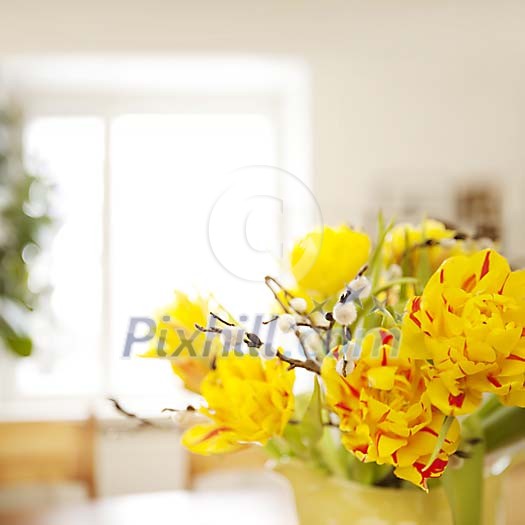 Vase of yellow tulips and pussy willows in home surroundings