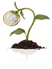 Young plant growing 1 euro coin