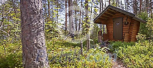 Little cabin in the forest