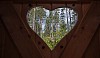 Heart opening in toilet door showing forest
