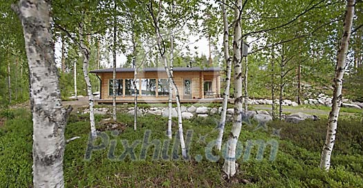 Cottage between the trees Cottage between the trees