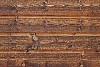 Wooden background