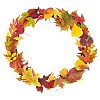 Autumn leaves floating in a circle