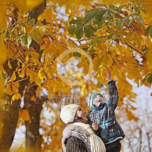 Boy trying to grab yellow autumn leaves