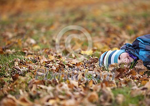 Boy lying between the autumn leaves
