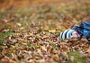 Boy lying between the autumn leaves