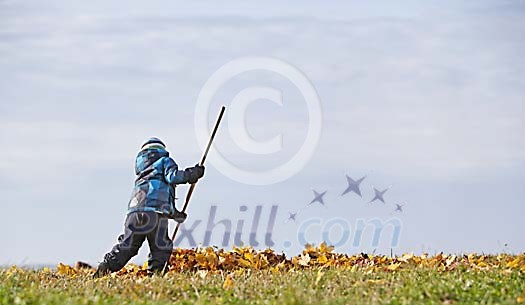 Boy is raking the autumn leaves