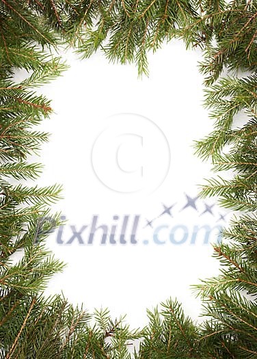 Real Christmas Branches Real Christmas Branches