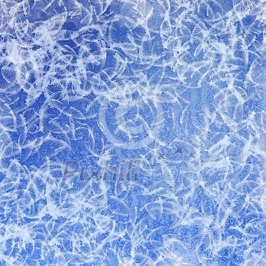 Frost pattern on the window Frost pattern on the window
