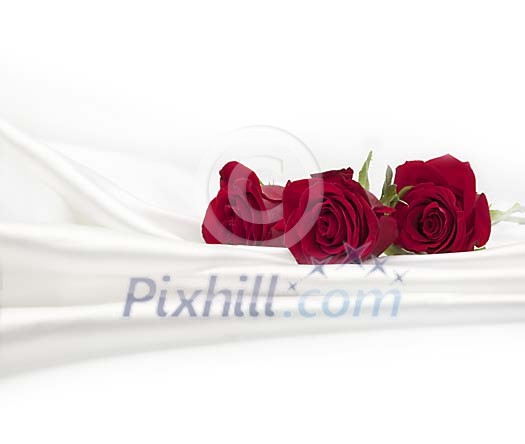 Red roses on white silk