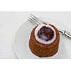 Runeberg torte on a plate with a fork