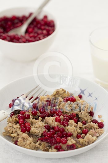 Oatmeal porridge with cowberries