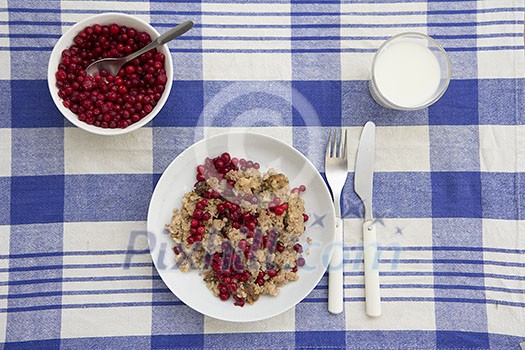Oatmeal porridge with cowberries and milk Oatmeal porridge with cowberries and milk