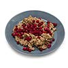 Isolated bowl of oatmeal porridge with cowberries