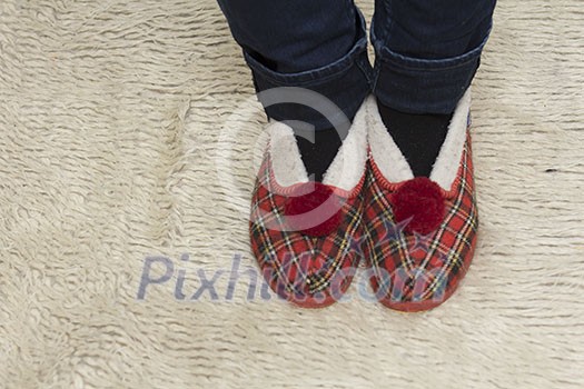 Feet in warm slippers Feet in warm slippers