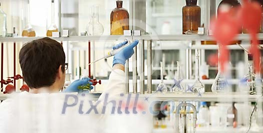 Scientist testing in the laboratory Scientist testing in the laboratory