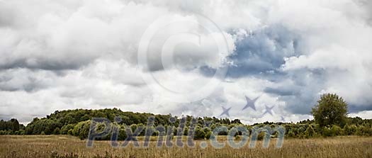 Cloudy day on the countryside