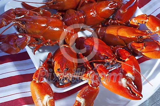 Boiled crayfish on the plate