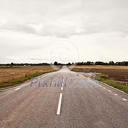 Empty road between fields Empty road between fields