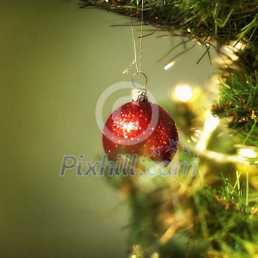 Red christmas ball on the tree