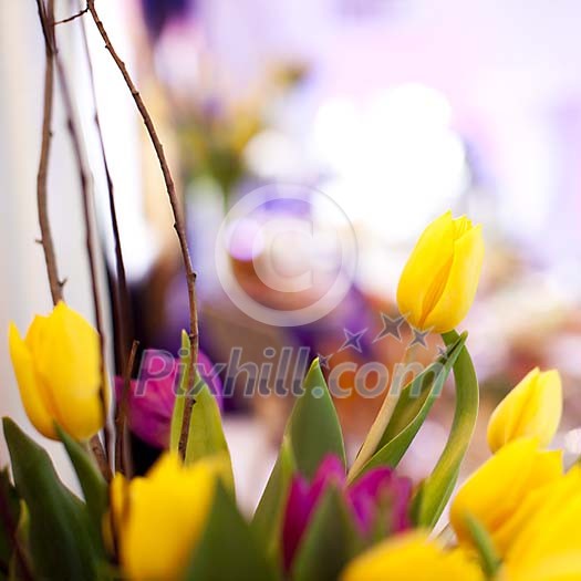 Spring tulips boquet