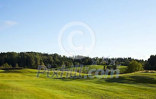 Sunny day on a green landscape