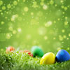 Colorful easter eggs on grass against festive green background with copyspace