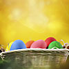 Colorful easter eggs in basket with copyspace
