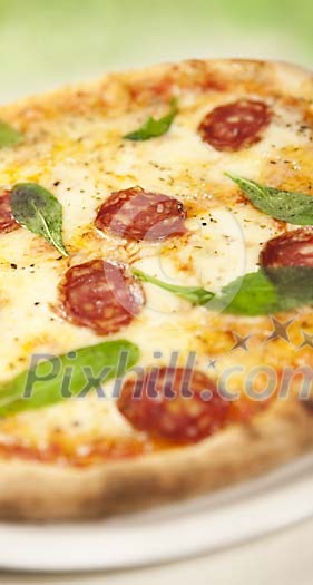 Fresh pizza with pepperone and rucola