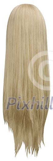 Long blond wig from behind with clipping path