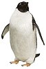 Penguin with clipping path
