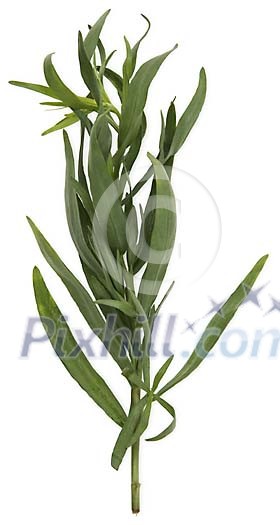 Download Clipped Stock Photos Download Clipped Stock Photos
