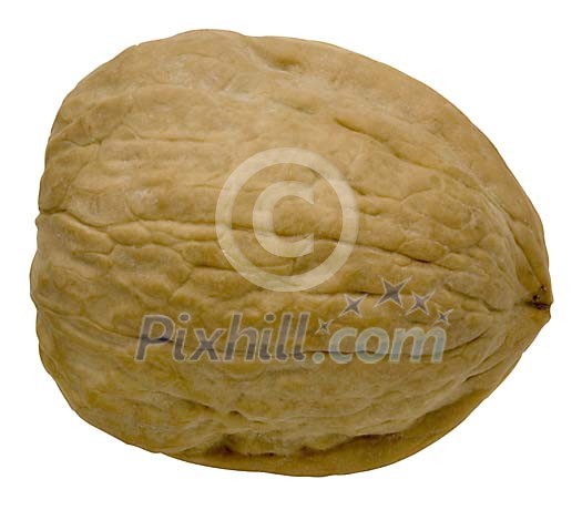 Food Stock Images with clipping path Food Stock Images with clipping path