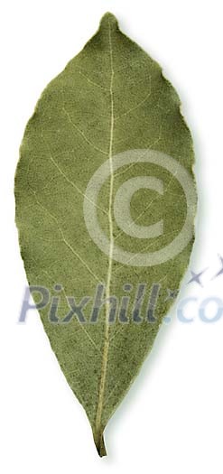 Food Stock Images with clipping path Food Stock Images with clipping path