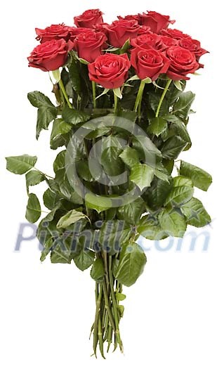 Clipped Flower Stock Images Clipped Flower Stock Images
